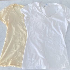 GAP Bundle of 2 V-neck tees